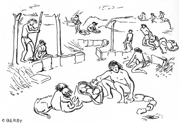drawing